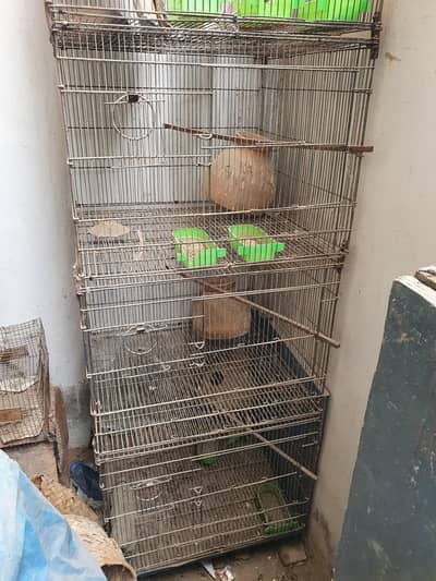 MASTER CAGE