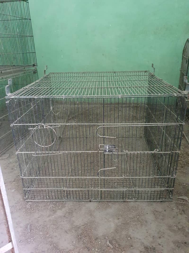 MASTER CAGE 1