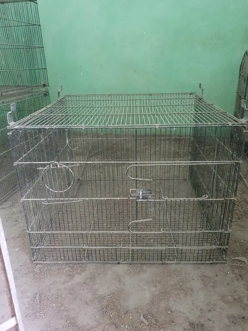 MASTER CAGE — photo 2