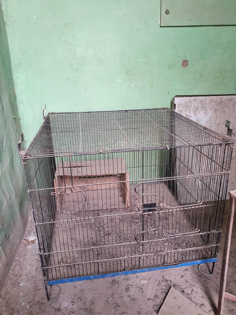MASTER CAGE 2