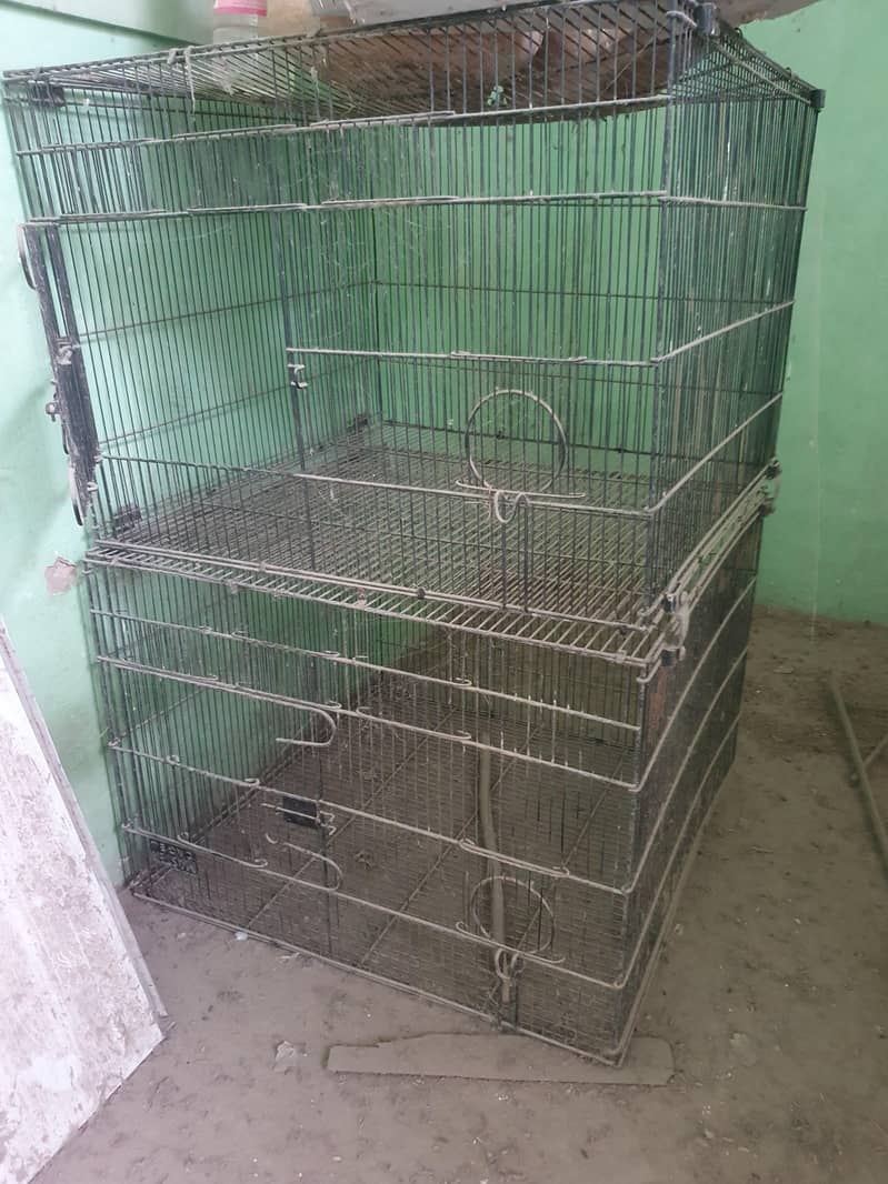 MASTER CAGE 3