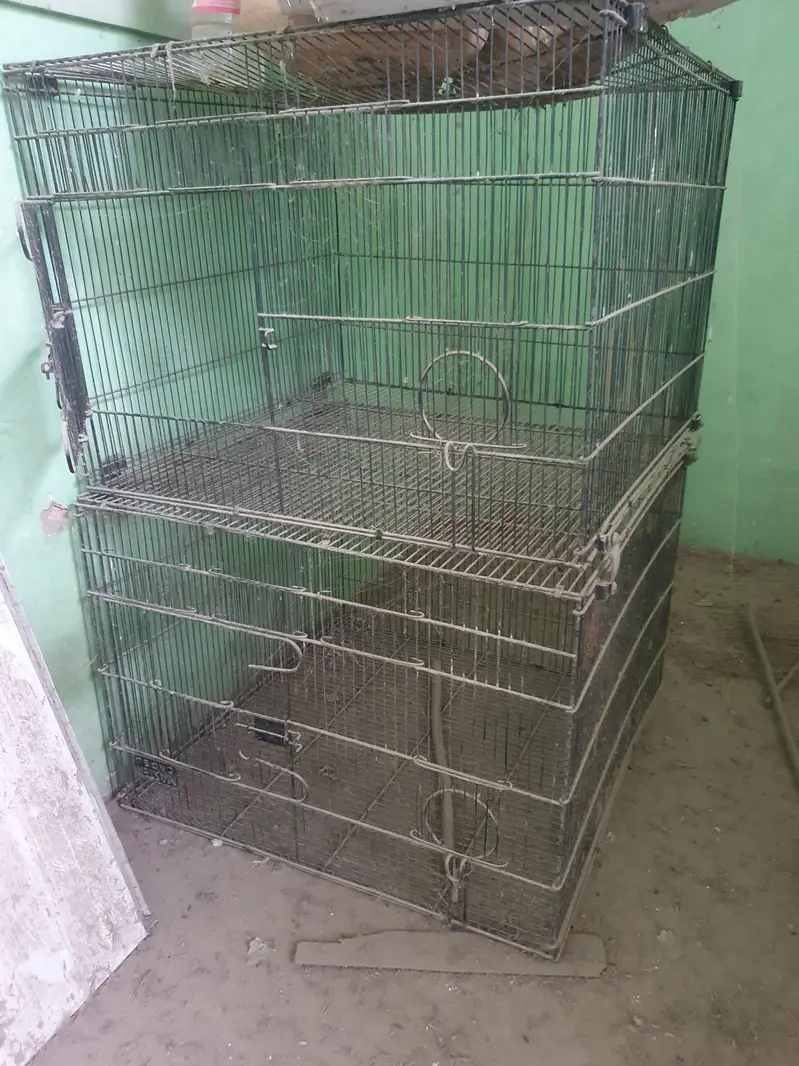MASTER CAGE — photo 4