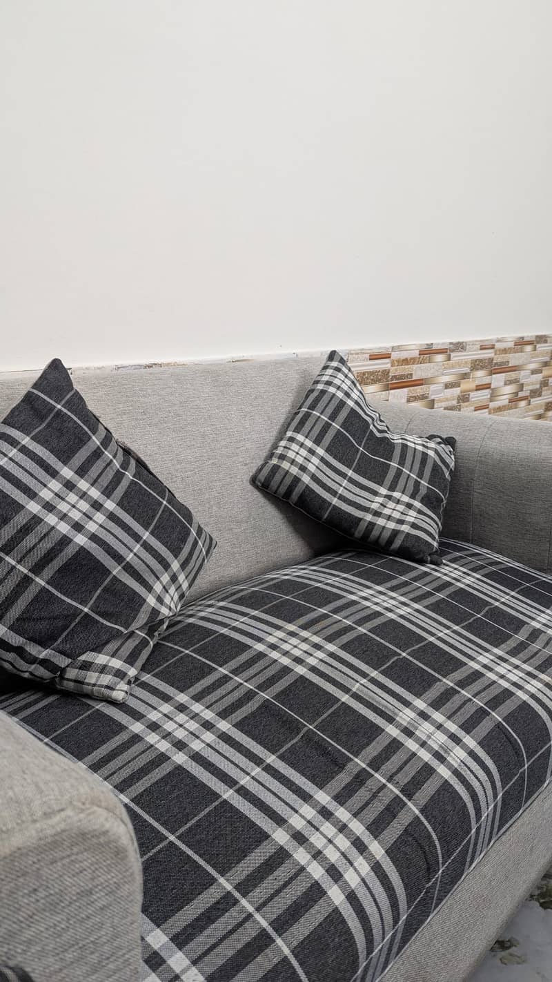 2 Seater Sofa Spring 6