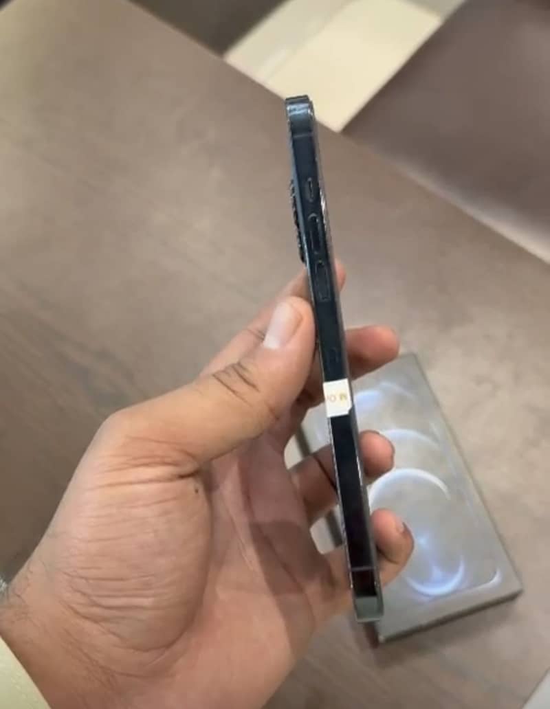 12 pro max Pta 2