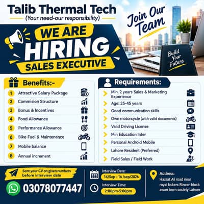 Sales Executive
