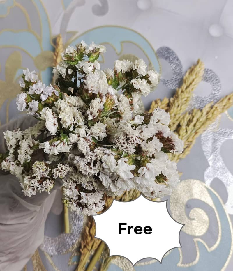 Premium Decor Set 3