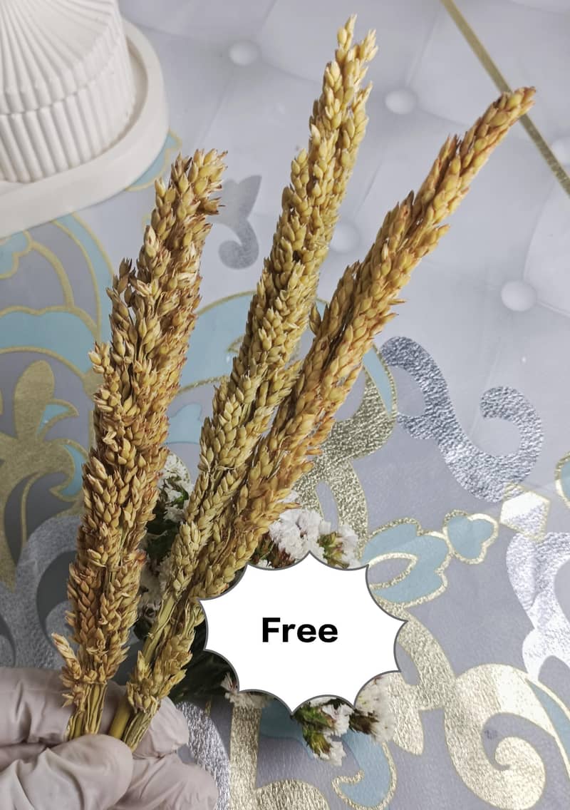 Premium Decor Set 4
