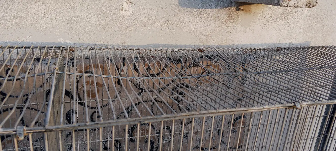 10 portions cage for sale