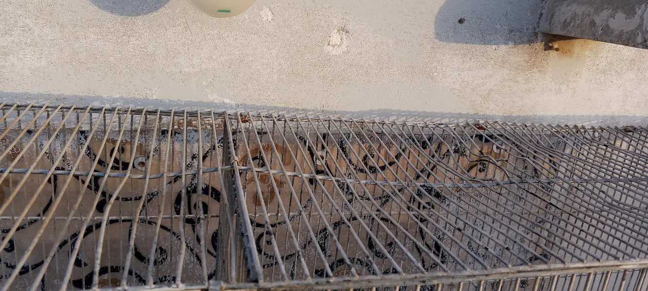 10 portions cage for sale — photo 2