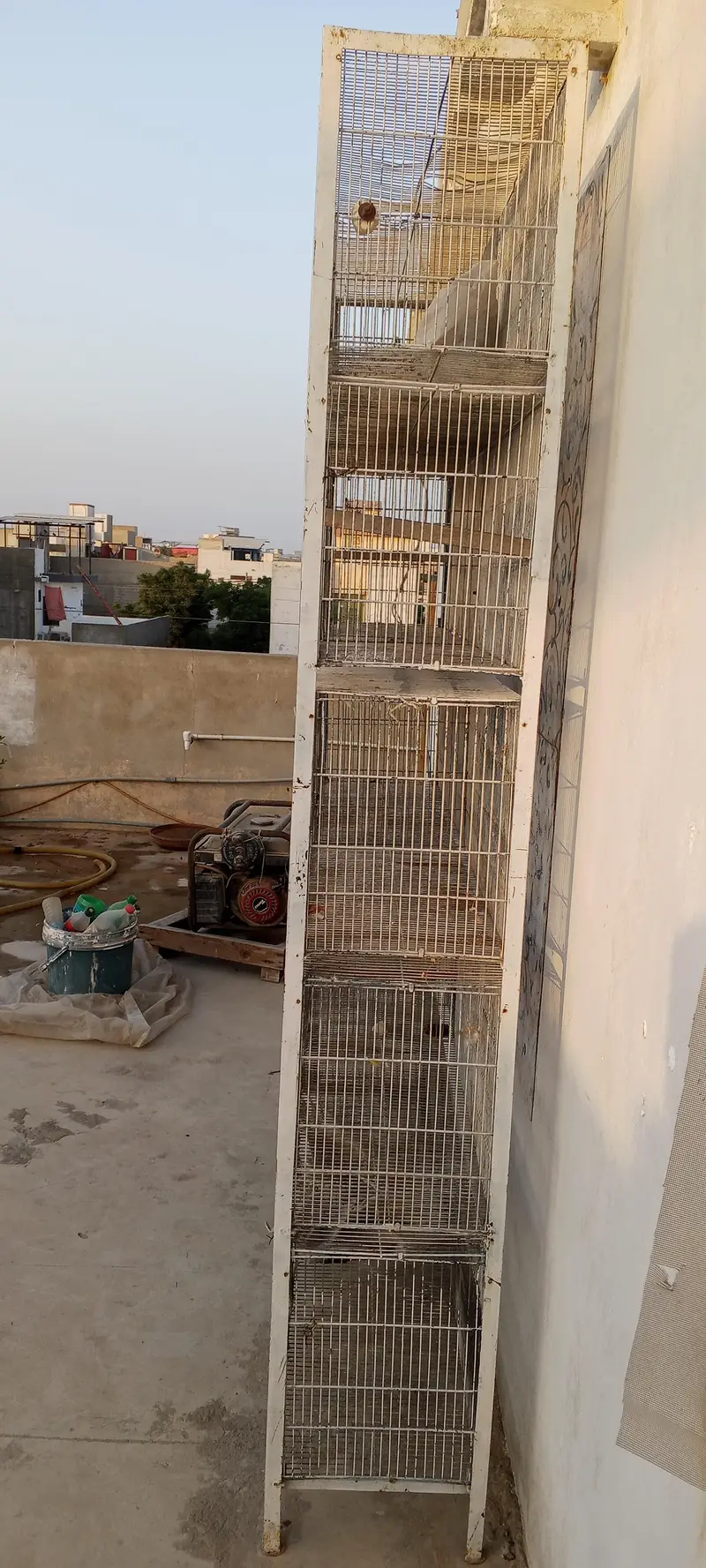10 portions cage for sale — photo 4