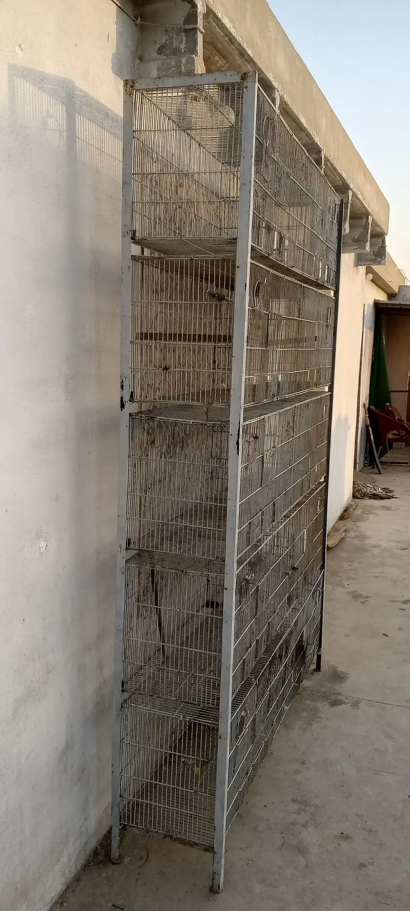 10 portions cage for sale — photo 6