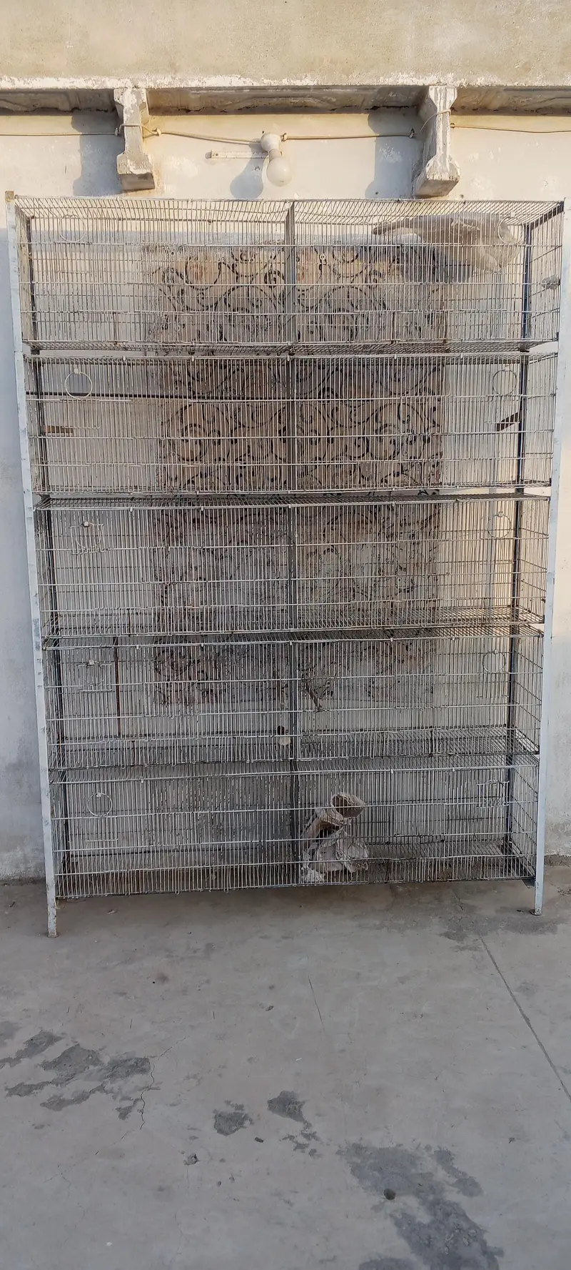 10 portions cage for sale — photo 7