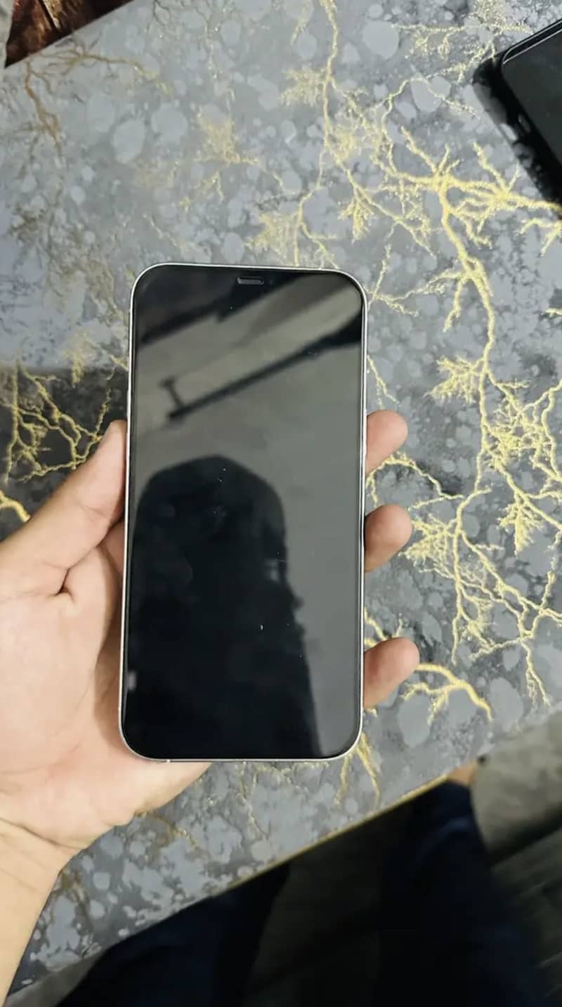 Apple iPhone 12 Pro Max 0