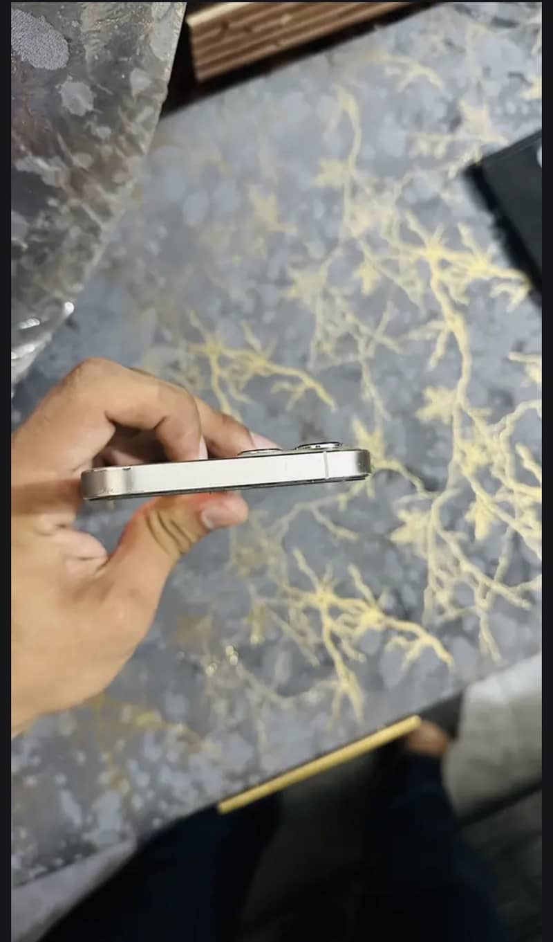 Apple iPhone 12 Pro Max 1