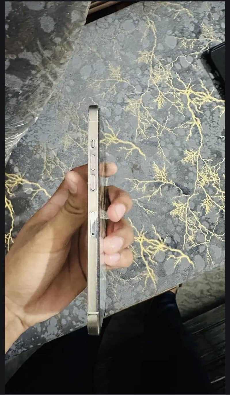 Apple iPhone 12 Pro Max 4