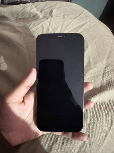 Apple iPhone 12 pro max