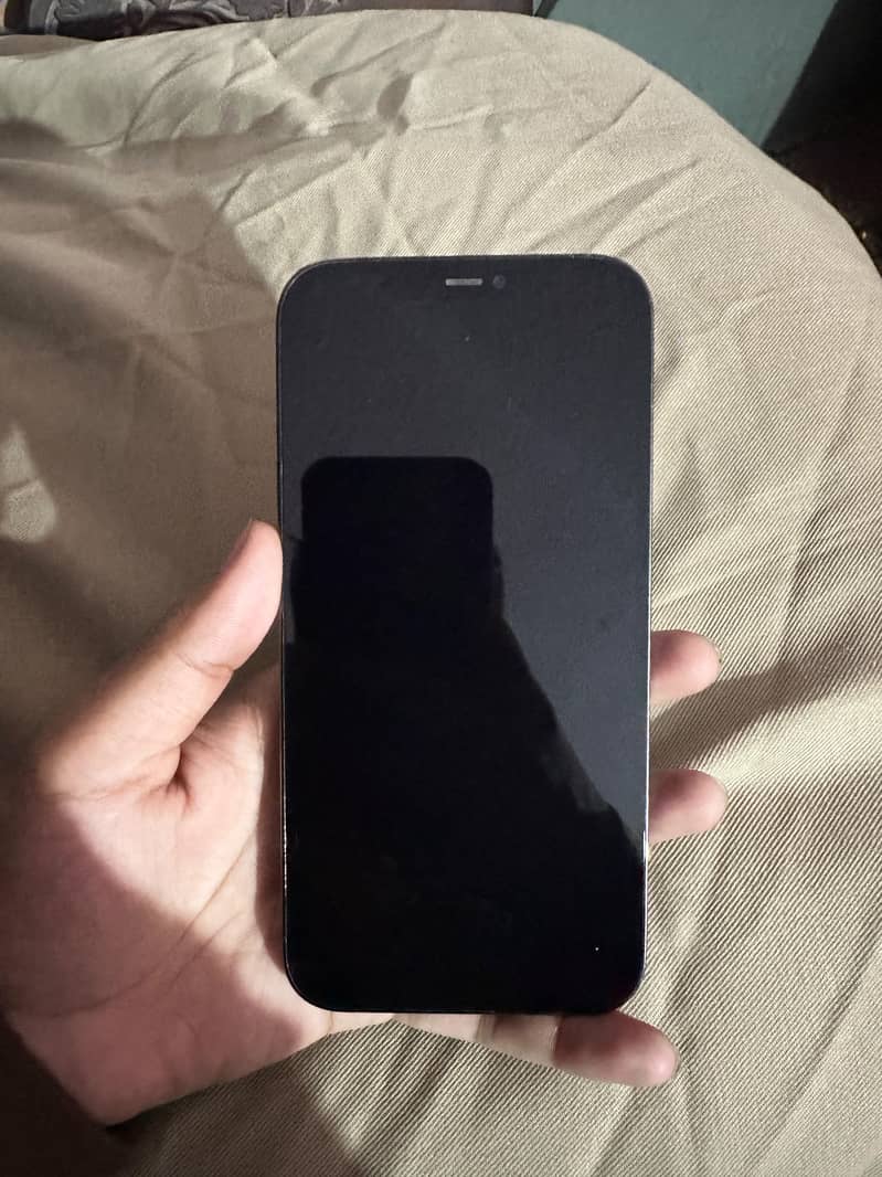 Apple iPhone 12 pro max 0