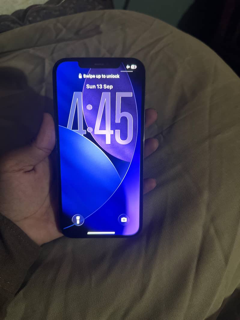 Apple iPhone 12 pro max 3