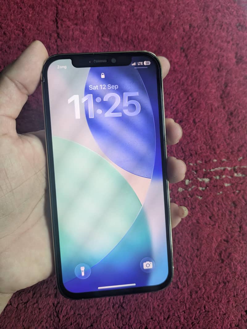 Apple iPhone 12 Pro 2