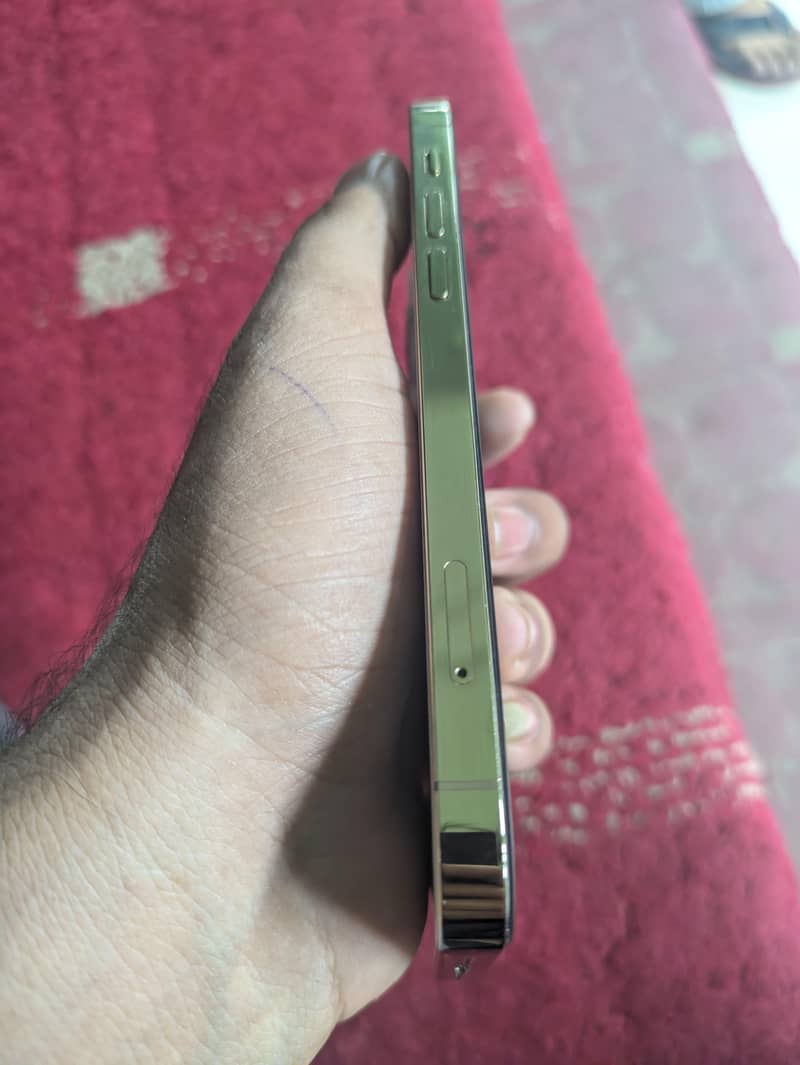Apple iPhone 12 Pro 4