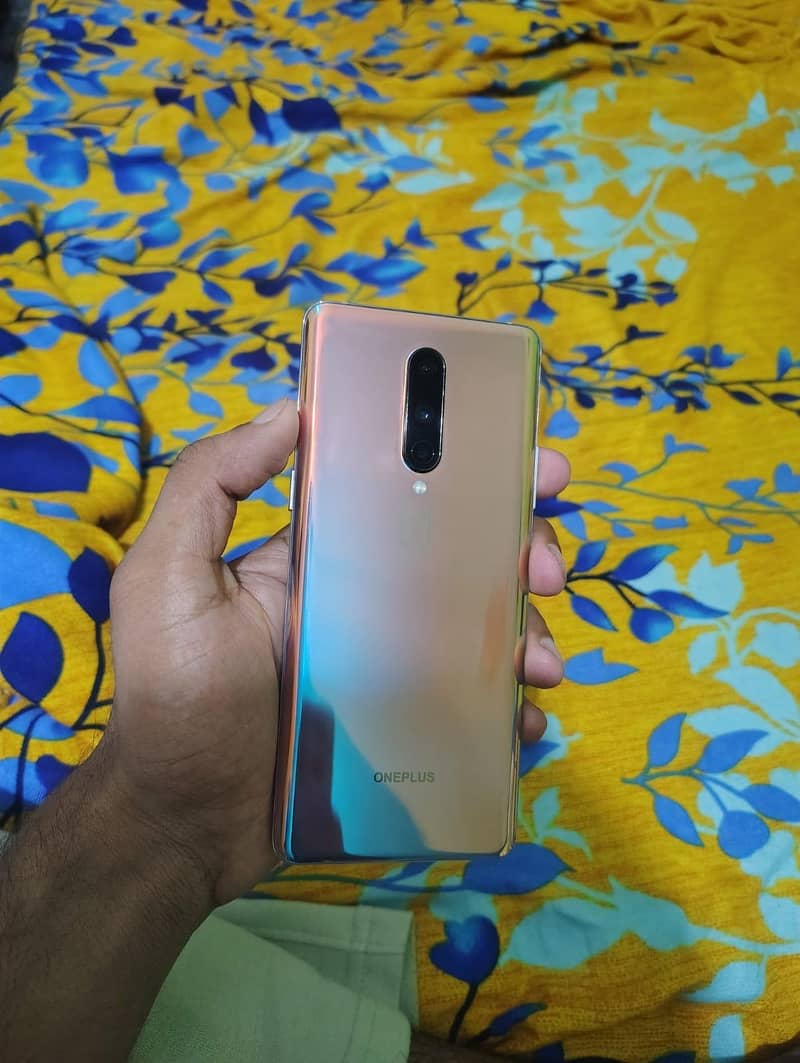 one plus 8 1