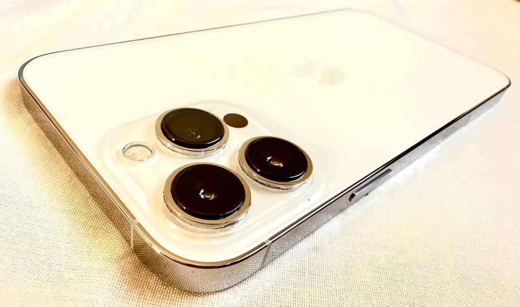 Apple iPhone 13 Pro Max 1