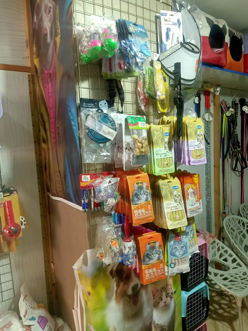 ALL PET FOOD, ACCESSORIES, MEDICINES AVAILABLE AT LOWEST PRICE — photo 3