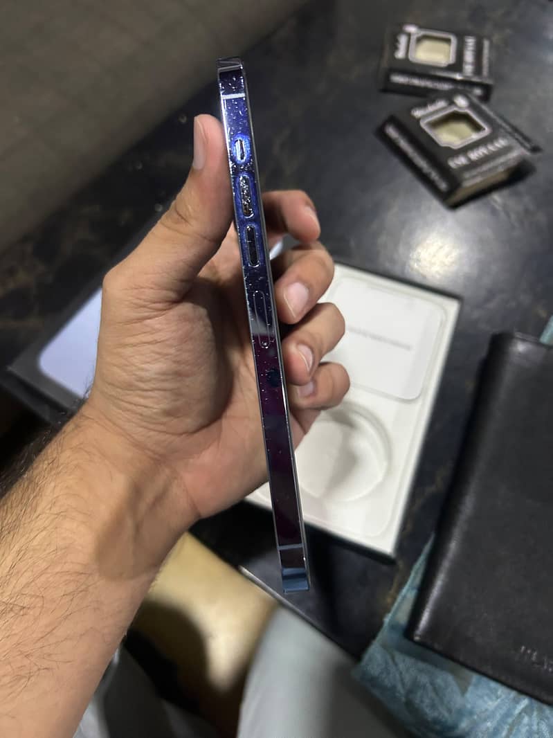 Apple iPhone 13 Pro Max 2