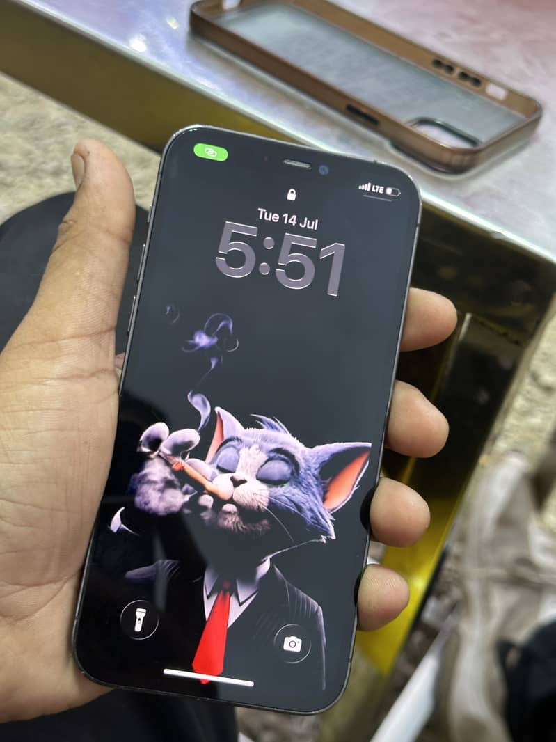 Apple iPhone 12 Pro 2