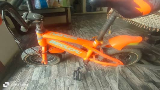 Beiduofu bicycle