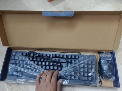 keyboard and mouse