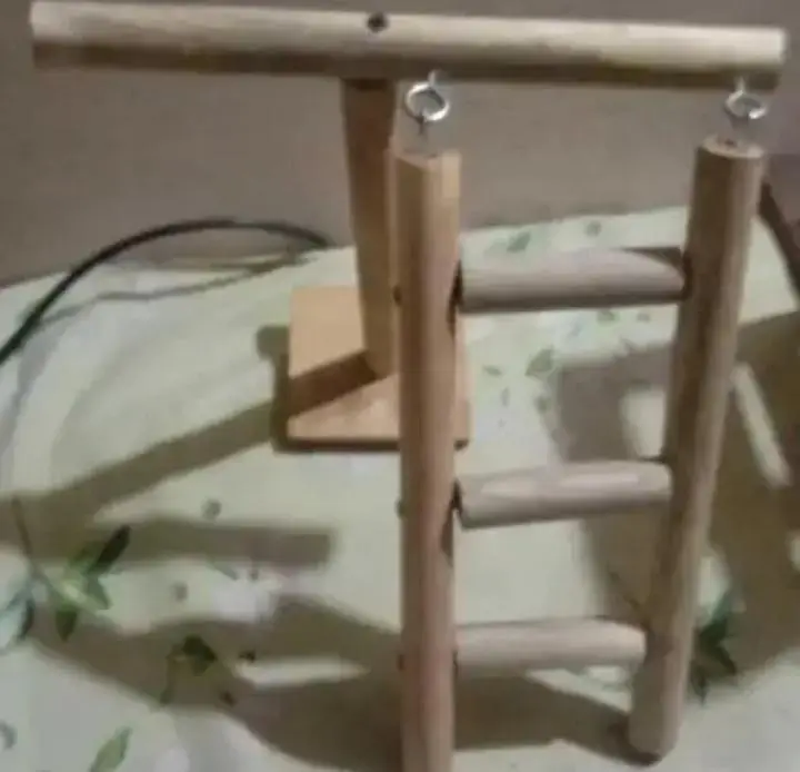 birds toys playground stand accessories available — photo 4