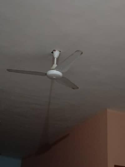 fan for sale