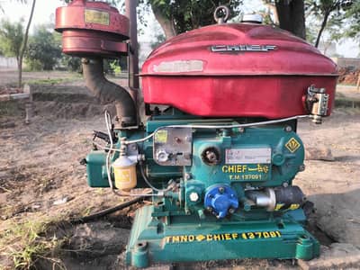 25 HP Peter Diesel Engine for Tubewell