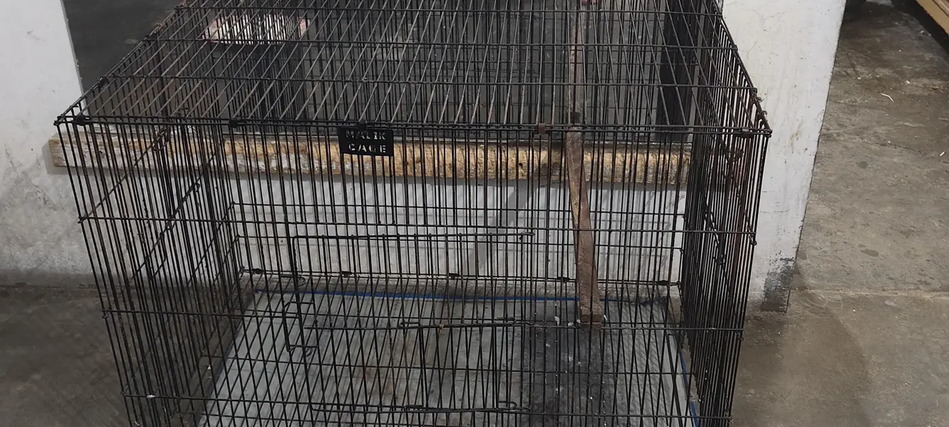 parrot cage — photo 2