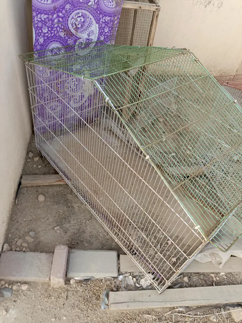 birds cage — photo 2