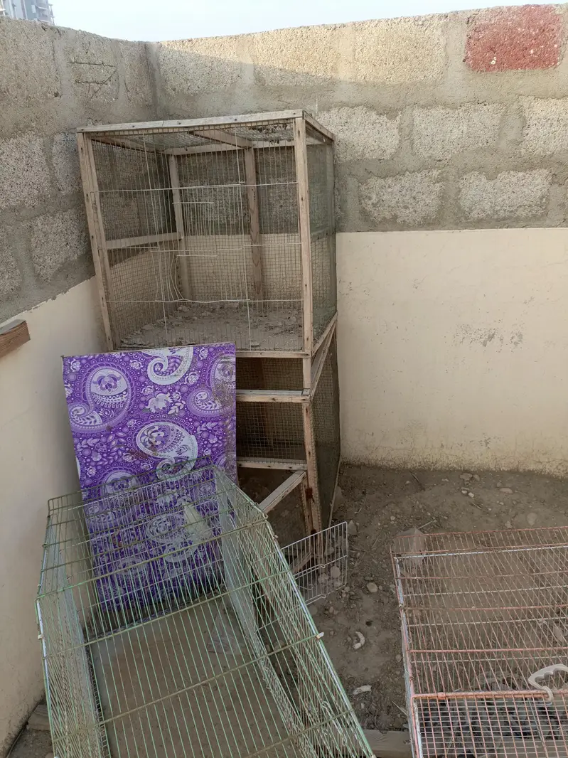 birds cage — photo 3