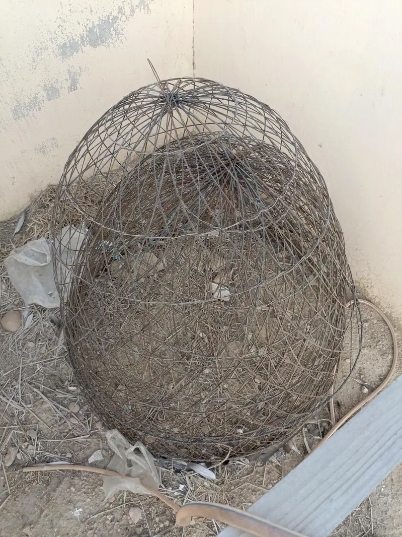 birds cage — photo 4