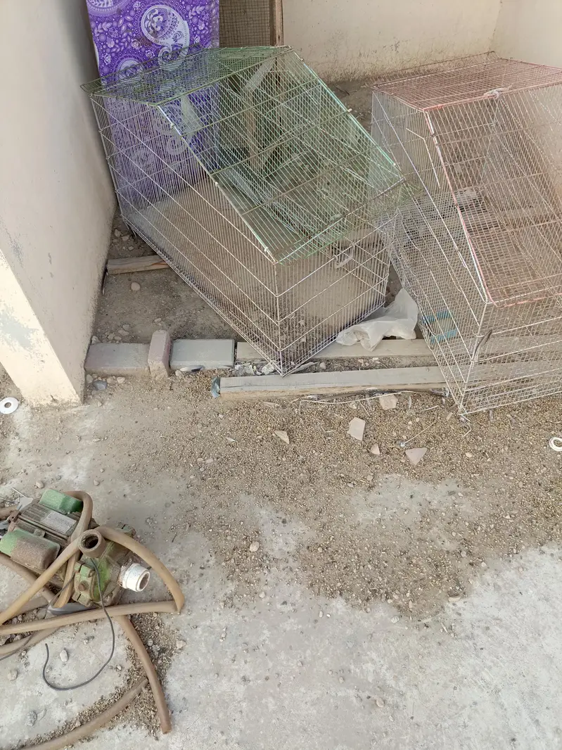 birds cage — photo 5