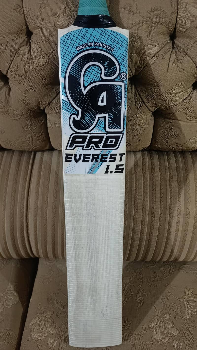Hard ball bat 1