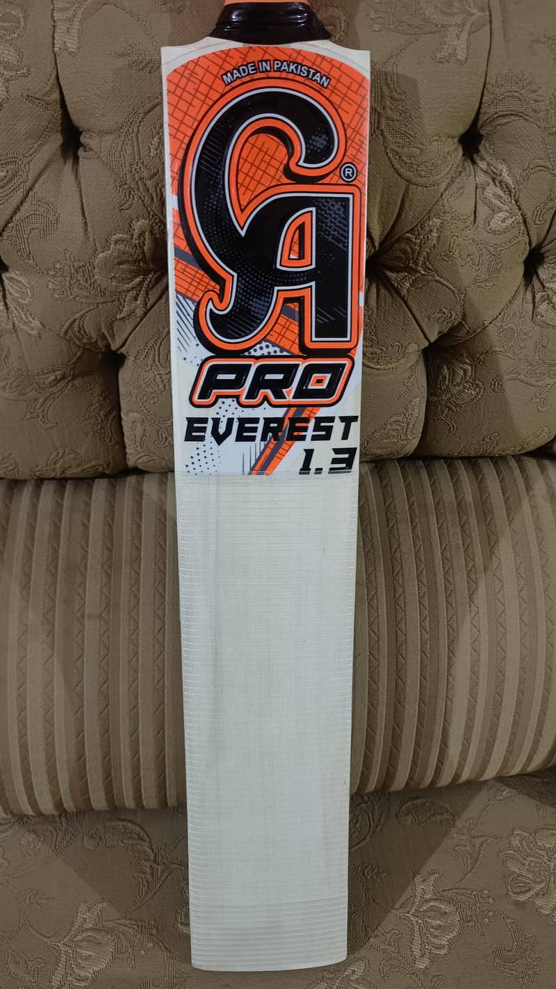 Hard ball bat 2