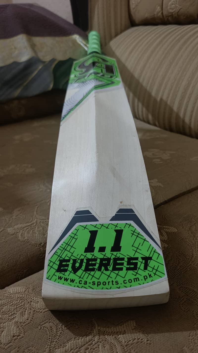 Hard ball bat 10