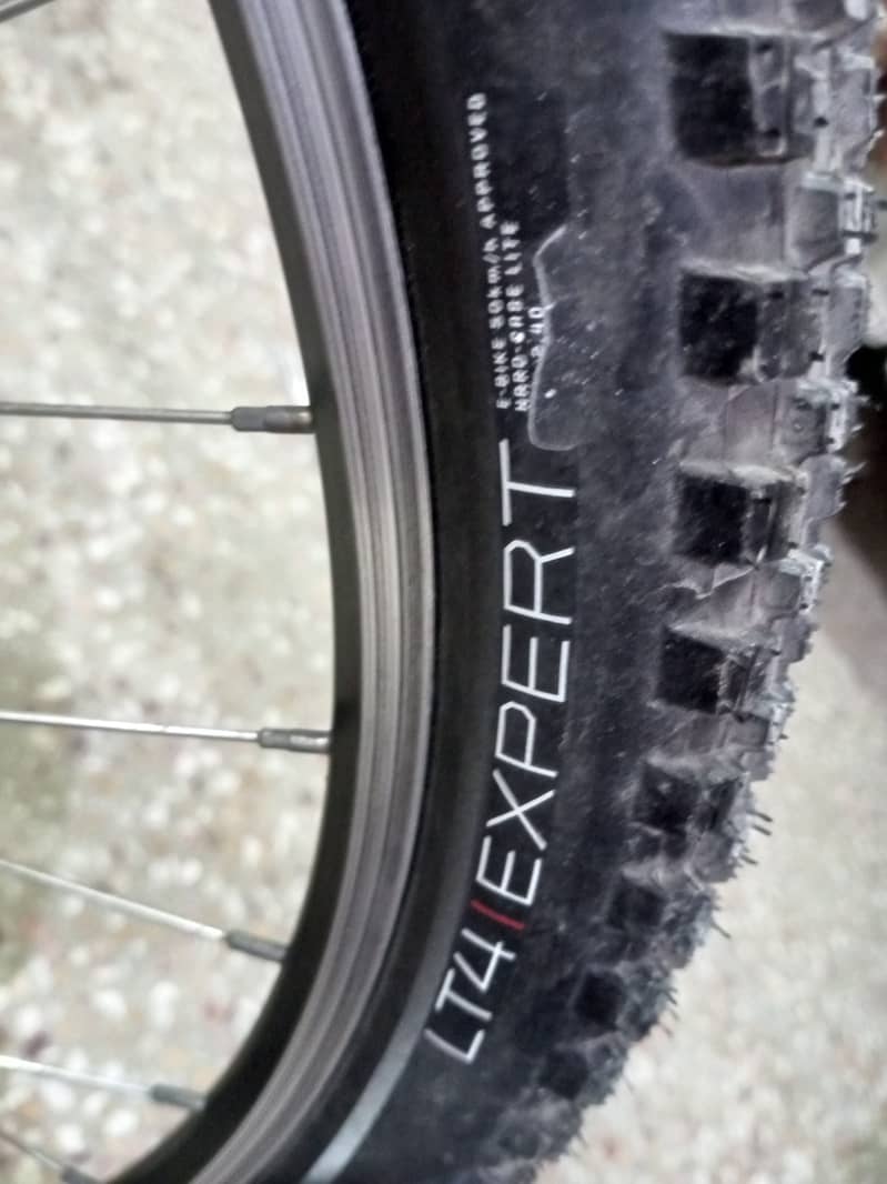 GT Timberline 2