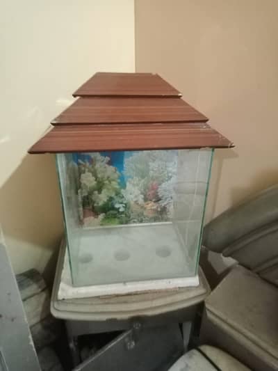 Aquarium for sale