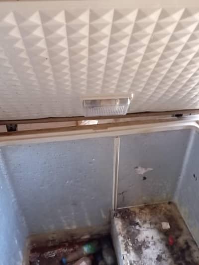 selling the defreezer