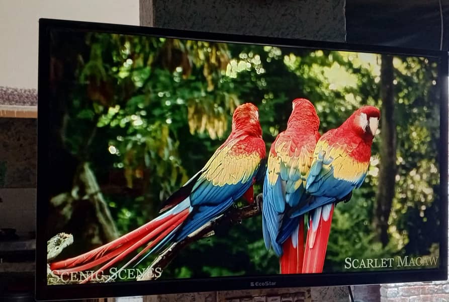 Android LED TV 1