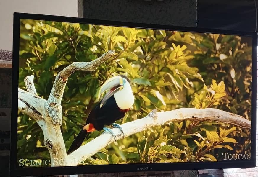 Android LED TV 3