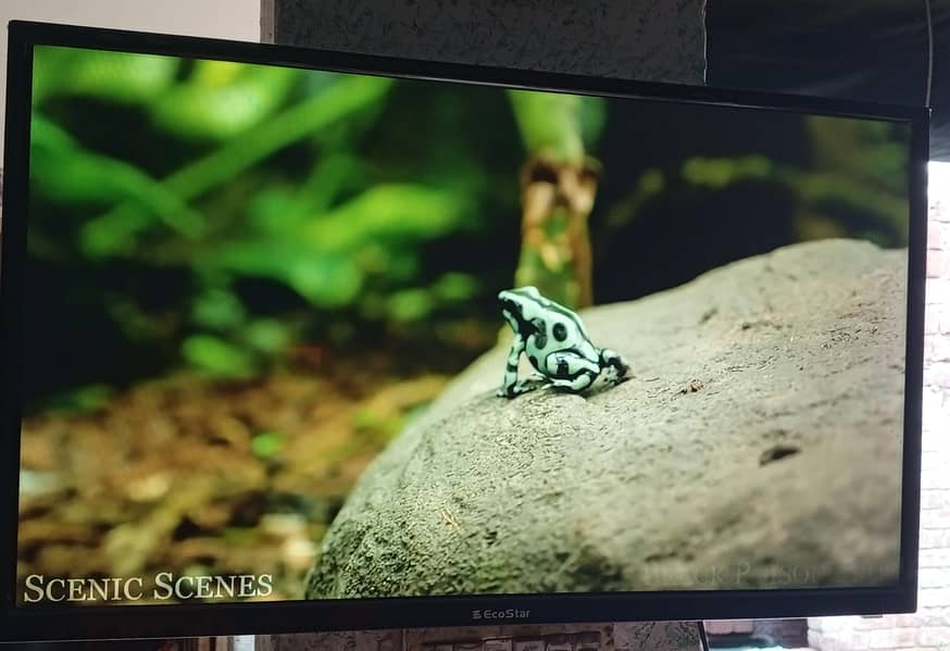 Android LED TV 4