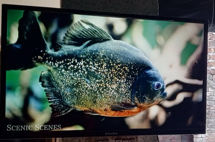 Android LED TV 5