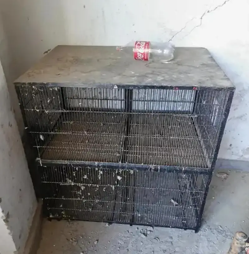 iron cage 8 feet hight 4 feet wirth 2.5 feet deep — photo 2